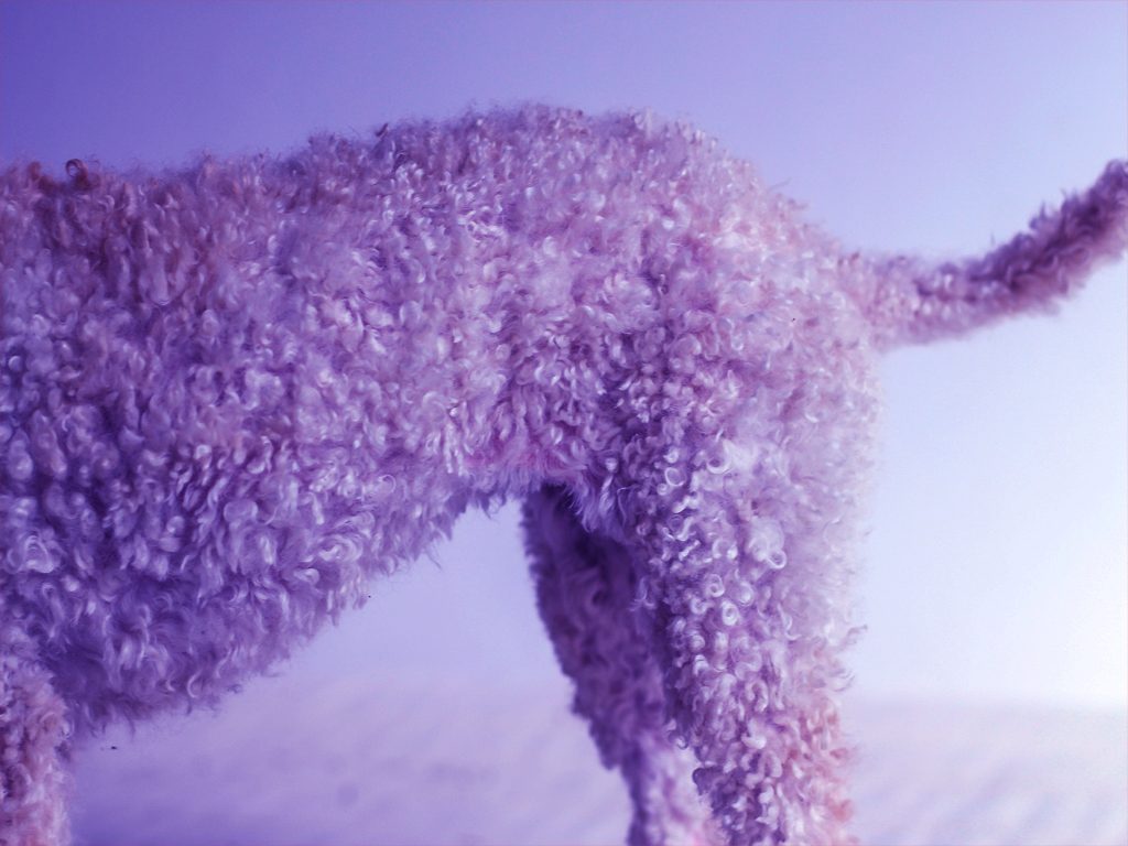 Matted coat
