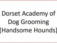 Handsome Hounds
