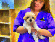 How to choose your dog's groomer